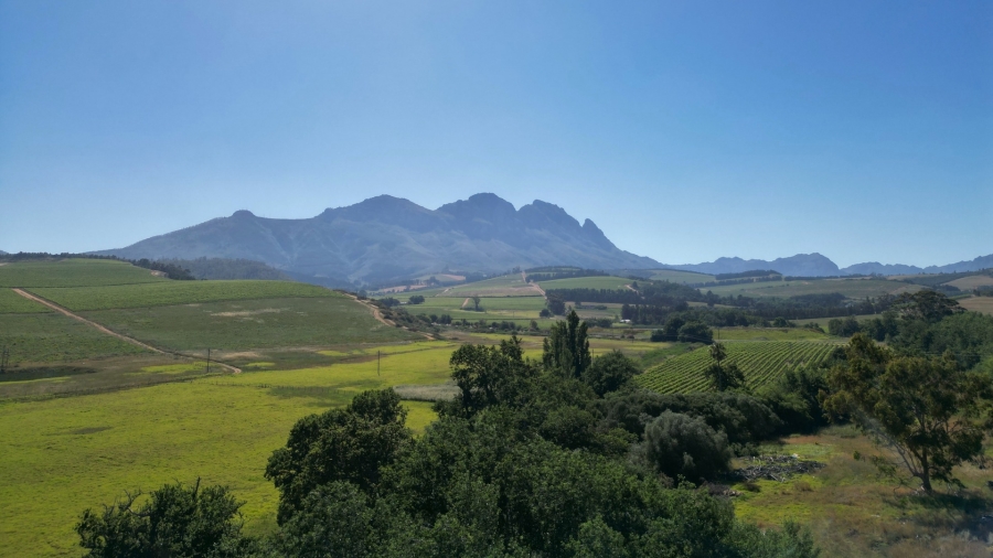 0 Bedroom Property for Sale in Stellenbosch Farms Western Cape